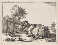 KG 04383
<br/>
Liggende ram
<br/>
<em>Bije, Marcus de (1639-ca. 1690)</em>
